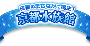 古都のまちなかに誕生！京都水族館